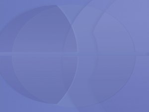 阜新市鴨苗有限責任公司