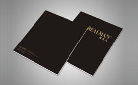 字體中國(guó)畫冊(cè)設(shè)計(jì)案例 成功案例解析與企業(yè)形象策劃的完美融合